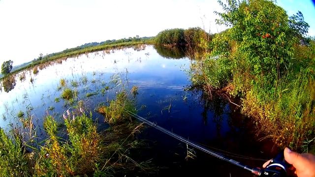 #Щука в траве. #колебалки и #незацепляйки смотреть онлайн