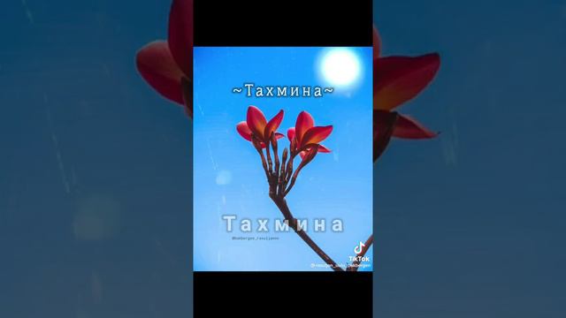 СПАСИБО ЗА ТЕПЛЫЕ СЛОВА смотреть онлайн