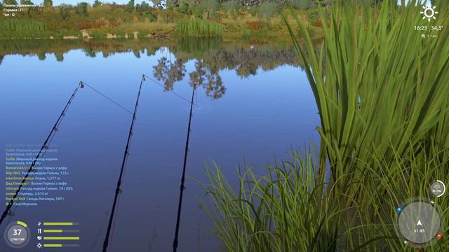 Рр4| Стерлядь (сазан, севрюга) | Ахтуба смотреть онлайн