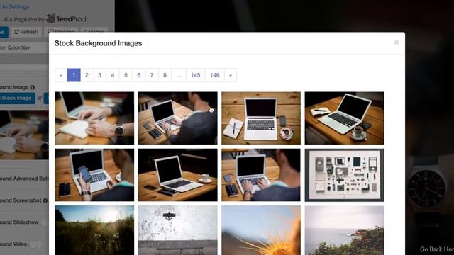 404 Page Pro by SeedProd смотреть онлайн