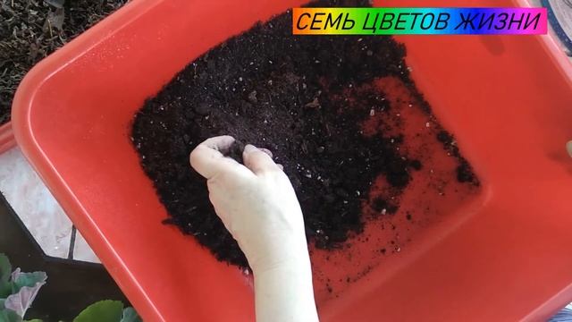 как обогатить почву для рассады Куда деть спитой чай и кофе смотреть онлайн