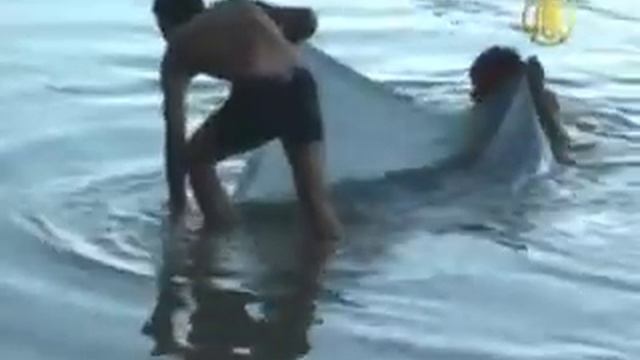 Самоя загрязнённая река Индии.Река Ямуна.(River Yamuna India)