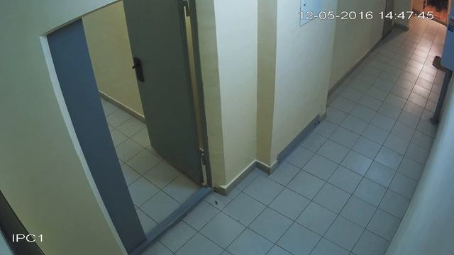 12-05-16 Чт. Незаконне промислове виробництво в квартирі!!! смотреть онлайн