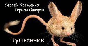 Песня «Тушканчик» исполняет автор Сергей Яременко