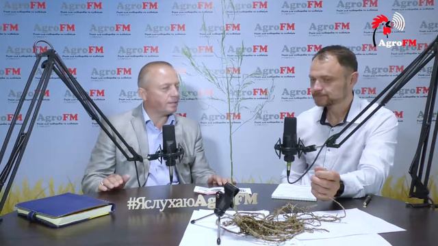 ЗАПИТАЙ У ЕКСПЕРТА: Василь ПОЛІЩУК, генеральний директор ТОВ «АВ ЛІХТ» смотреть онлайн