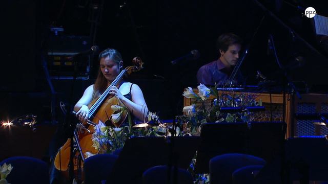 Camille Saint-Saëns: The Swan (from The Carnival of the Animals) смотреть онлайн