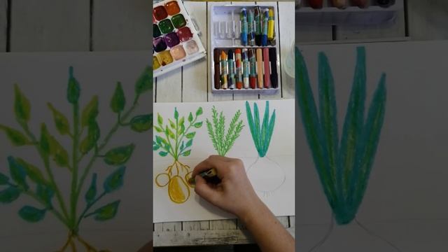 Как нарисовать огород с детьми. Лук, морковь, картофель смотреть онлайн