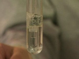 Химия. Опыты. Неорганика. Получение углекислого газа и изучение его свойств