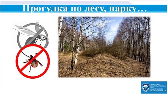 Безопасное поведение весной смотреть онлайн