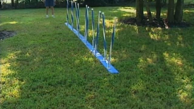 Competitive Agility Training with Jane Simmons-Moake- Advanced Skills Training смотреть онлайн