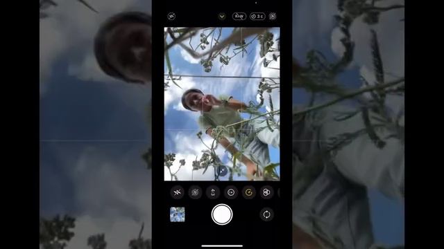 Топ 5 фото идей с полевыми цветами смотреть онлайн