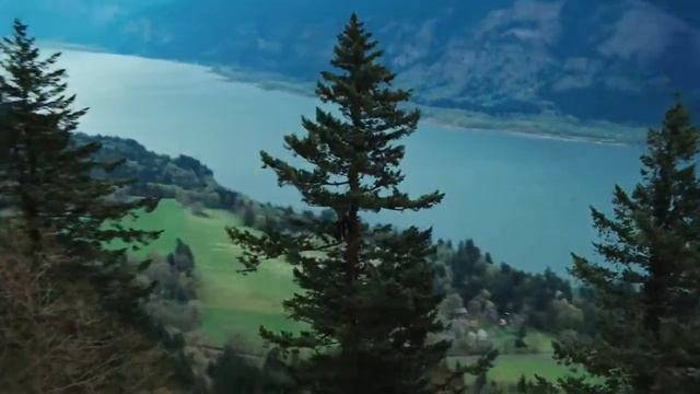 Twilight Official Trailer