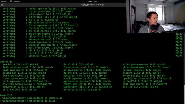 Python - Executing compiled GO code смотреть онлайн