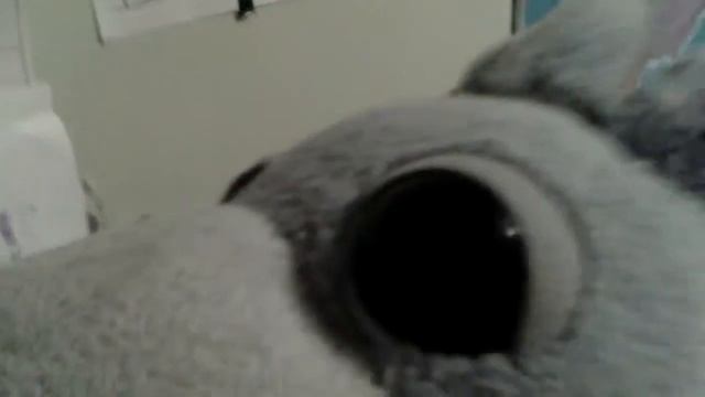 Гуша решает загадки Василисы Премудрой часть 1 смотреть онлайн