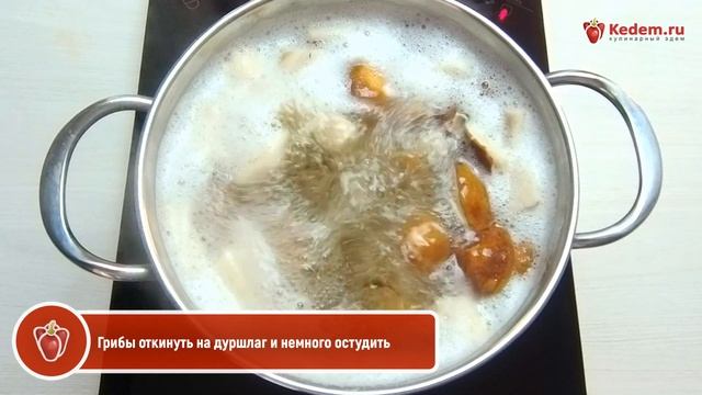 Маринованные белые грибы «Закусочные» — рецепт маринованных белых грибов на зиму смотреть онлайн