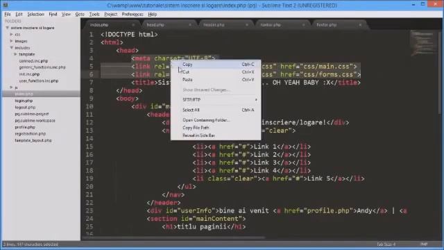 sistem inscriere si logare part 2 sistem de template php смотреть онлайн