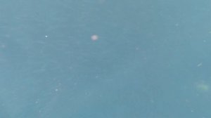 Рыбалка на Кету в Охотском море 2022