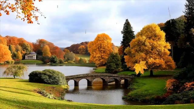 Осень. Унылая пора....Видео, сделанное в Camtasio Studia 8 смотреть онлайн