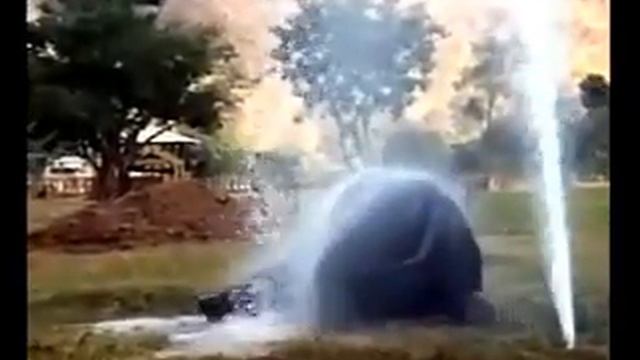 Открытые морские горизонты: путешки.