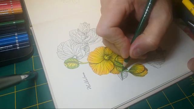 LIVE: Coloring In Flower Year Coloring Book by Leila Duly With Arteza Colored Pencils смотреть онлайн