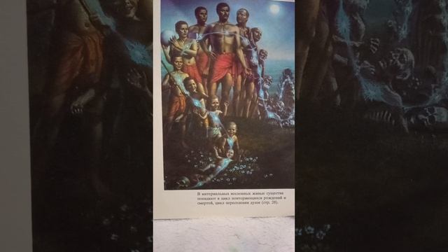 НЕКТАР ЗНАНИЙ смотреть онлайн