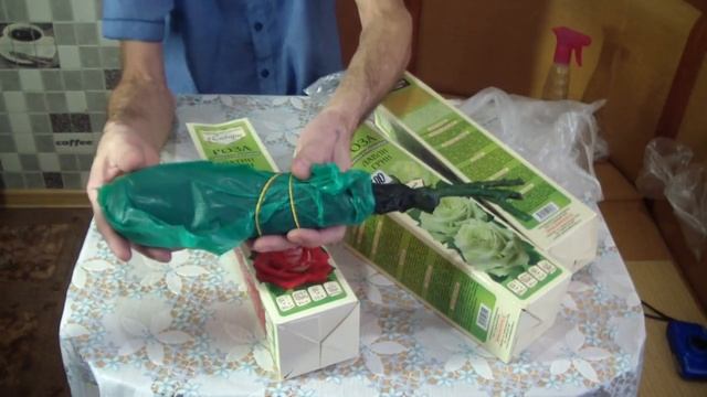 Хранение роз зимой дома.Обзор моих новинок. смотреть онлайн