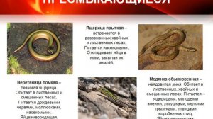 Листая Красную книгу Тверской области