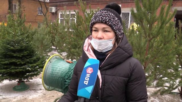 Елочный базар в Новошахтинске смотреть онлайн