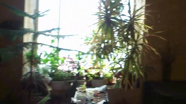 Мастерство и Поддержка