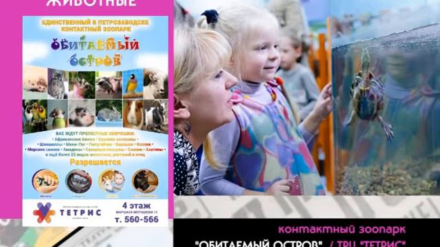 контактный зоопарк / ОБИТАЕМЫЙ ОСТРОВ смотреть онлайн