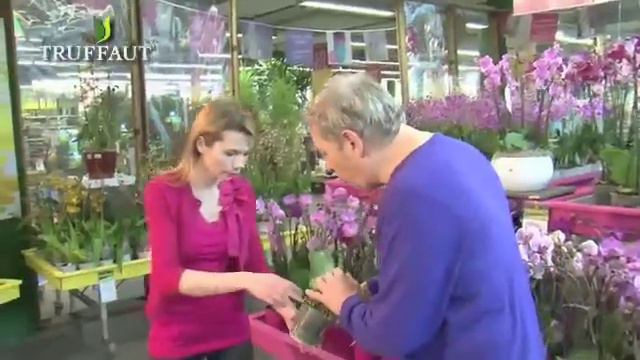 Culture et entretien des orchidées - Truffaut смотреть онлайн