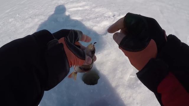 МОРСКАЯ ПЛОТВА - ЛЕСКА ЗВЕНИТ! Ловля на мормышку в Марте. ЗИМНЯЯ РЫБАЛКА. смотреть онлайн