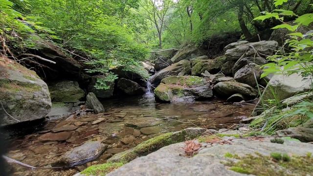 깊은숲속~잔잔한 물소리 | 휴식과 숙면asmr | 잠이안올때 смотреть онлайн