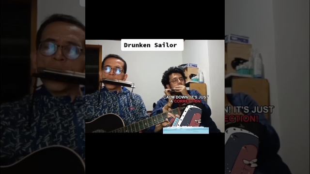Drunken Sailor - Harmonica duo смотреть онлайн