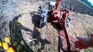 Мотоблок мотор сич  и конный оборотный плуг