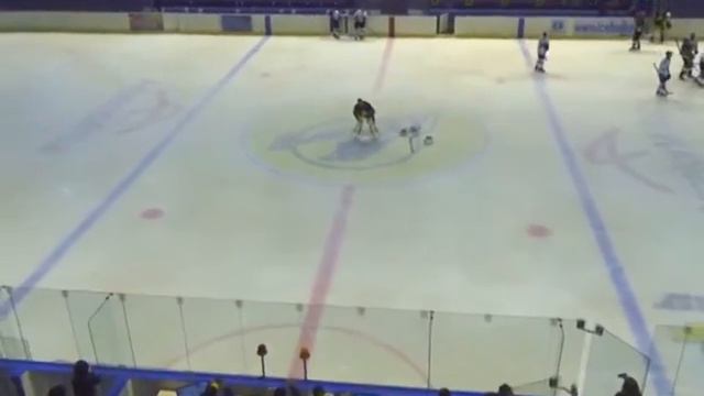 Неожиданный результат