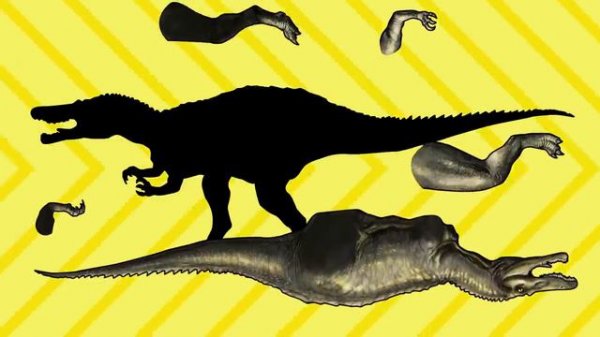 Dinosaur Puzzle game|공룡 퍼즐게임놀이|Tyrannosaurus,Brachiosaurus,Mosasaurus,Stegosaurus|공룡이름|dinosaur nam