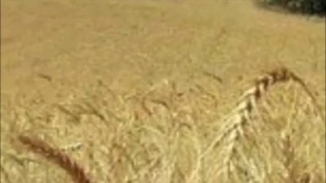 Ukrainian Christmas Eve Supper Свята Вечера смотреть онлайн