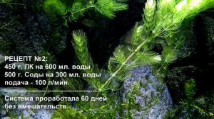 Два рецепта заправки системы CO2 на лимонной кислоте и соде.