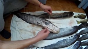 СОМ ГОРЯЧЕГО КОПЧЕНИЯ ПРОСТО ОБЪЕДЕНИЕ КОПТИЛЬНЯ КОПТИСАМ КРЫМ