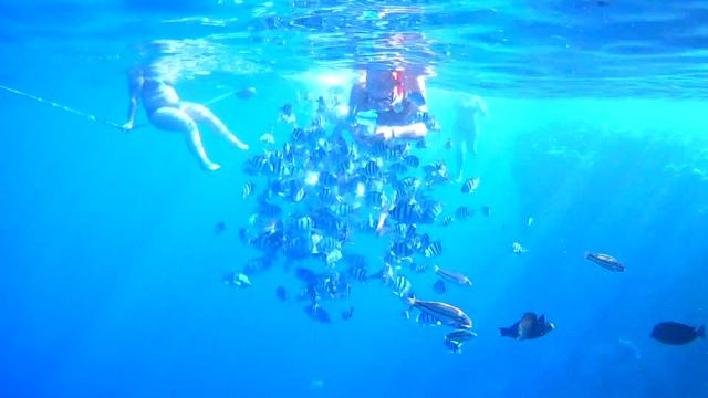 Dreams Beach Resort Sharm El Sheikh 5* смотреть онлайн