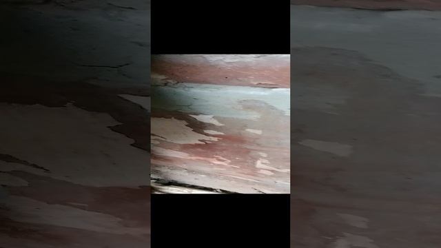 пон смотреть онлайн