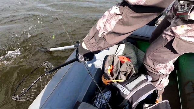 ЛОВЛЯ ЩУКИ ВЕСНОЙ НА ВОБЛЕРЫ смотреть онлайн