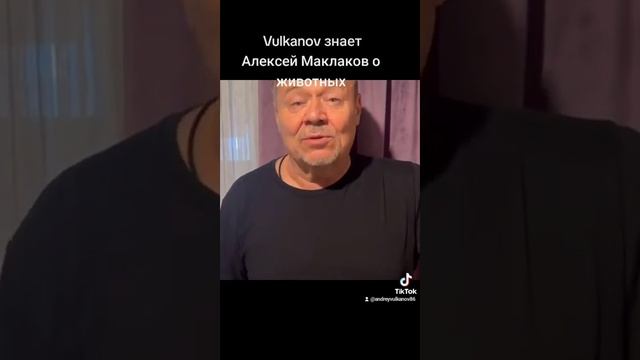 Шматко (Алексей Маклаков) о российском цирке смотреть онлайн