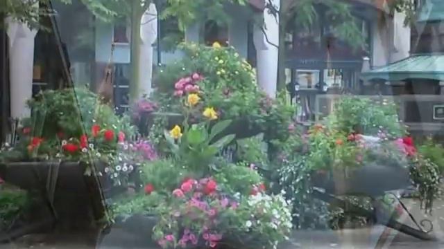 ГААГА смотреть онлайн