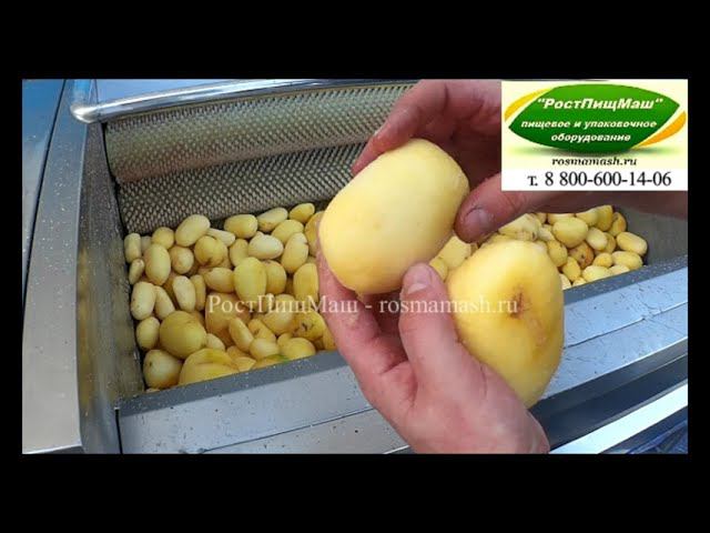Обзор чистки картофеля на GB-1000 от РостПищМаш смотреть онлайн
