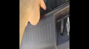 Тигра. Свет в багажнике