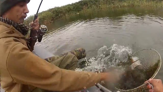 щука на Карповке 2 смотреть онлайн