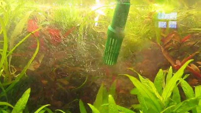 MVI_2859.AVI смотреть онлайн