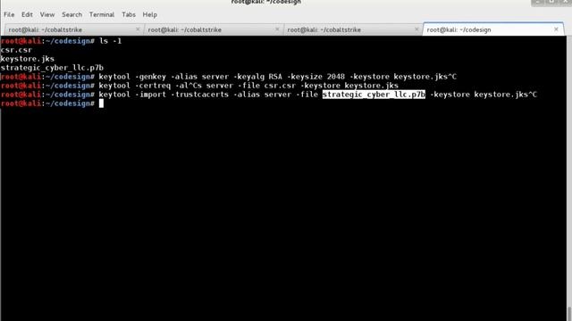 Code Signing Cobalt Strike's Executables and DLLs смотреть онлайн